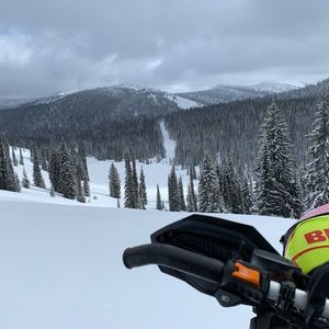 Meet your Posher, Tanner